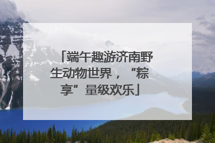 端午趣游济南野生动物世界，“粽享”量级欢乐